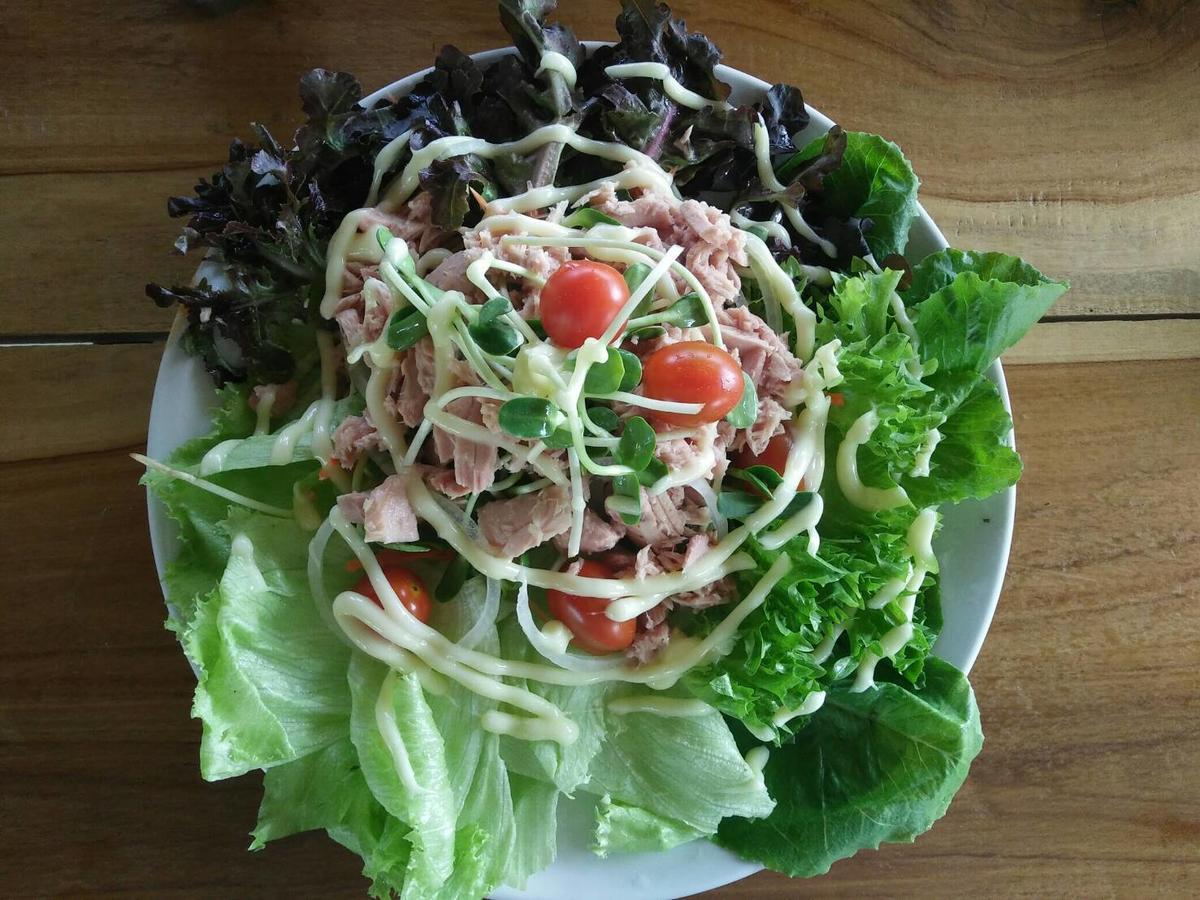 골든 팜 리조트 치앙마이 외부 사진